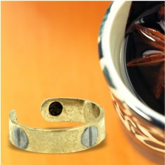 Dick Wicks Screw Head Magnetic Ring (Gold)